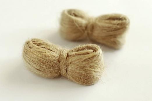 Лен (косичка)